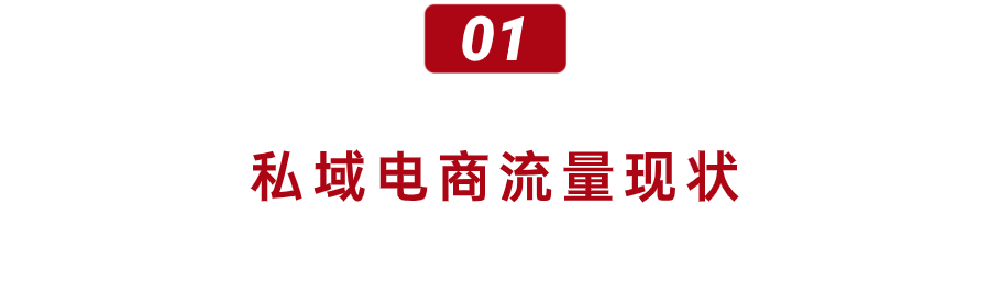 2024私域流量争夺大战(图1)