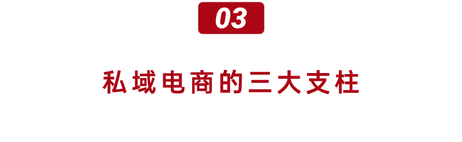 2024私域流量争夺大战(图3)