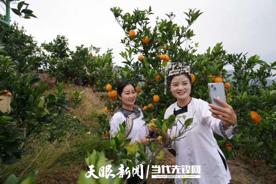 省商务厅等3部门印发《2024贵州农村电商直播大行动实施方案(图1)