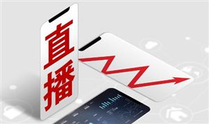 跨境电商发展现状及2024年趋势走向展望(图8)