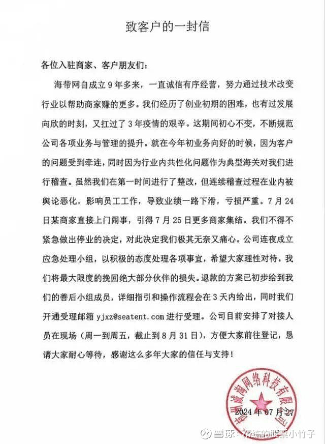 垂直电商接连倒下没有流量就是死路一条(图6)