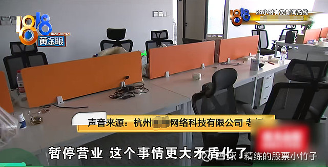 垂直电商接连倒下没有流量就是死路一条(图7)