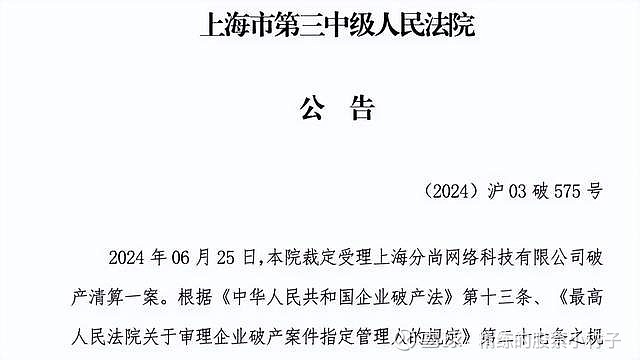 垂直电商接连倒下没有流量就是死路一条(图8)