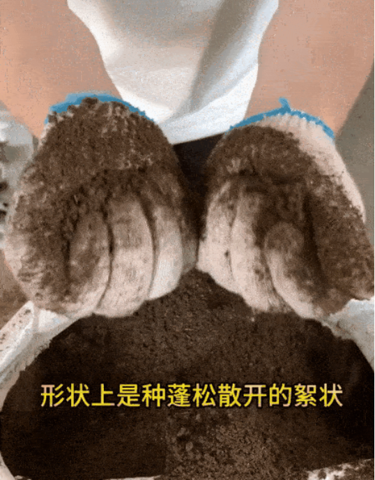 中小带货达人成抖音电商平台中坚力量满足消费者垂直、多元需求(图2)