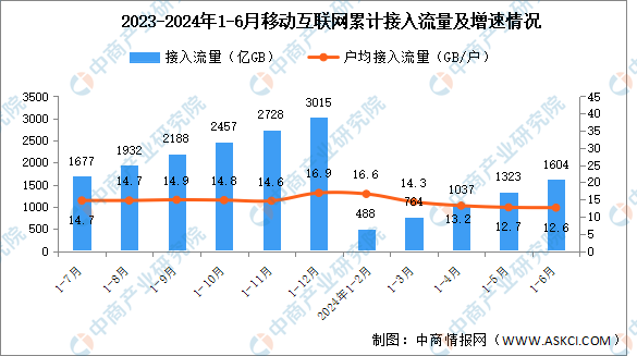 2024年1-6月互联网累计计入流量及城乡宽带接入用户分析（图）(图1)