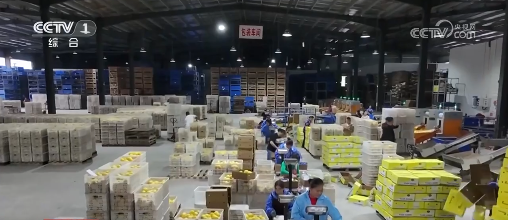 加大跨境电商支持、优化通关便利措施政策“组合拳”发力促进外贸稳增长(图3)