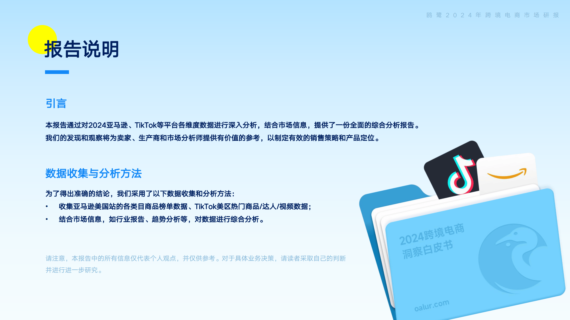 2024跨境电商洞察：新机遇？新挑战？运营者必看白皮书！(图2)