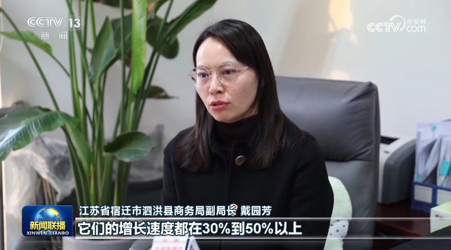 【锚定现代化改革再深化】江苏拓展跨境电商新模式激活产业新动力(图2)