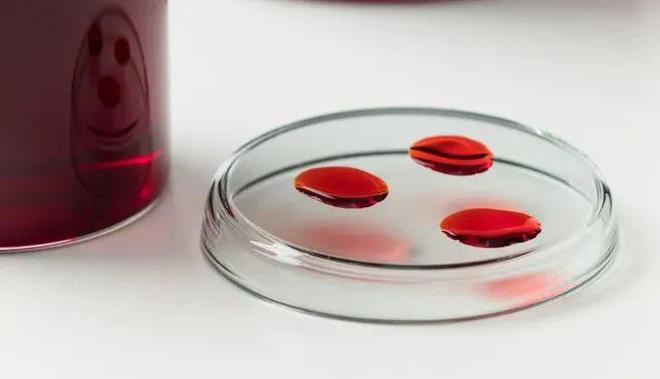 孵化品牌、布局AI2024年的代运营商们的转型逻辑是什么(图5)