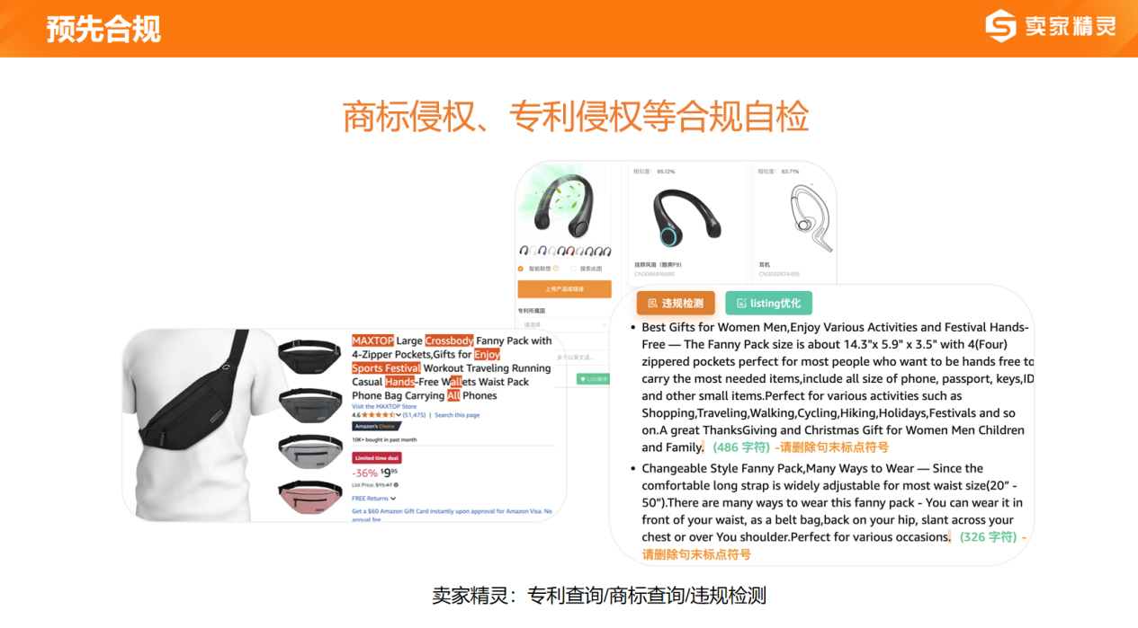 卖家精灵出席2024跨境电商大会：合伙人深度分享赋能品牌出海(图8)