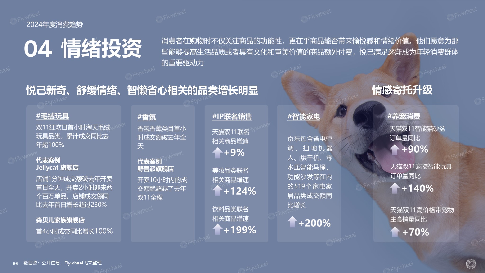 2024全球电商消费趋势：泛电商领域扩张消费需求多样化(图20)