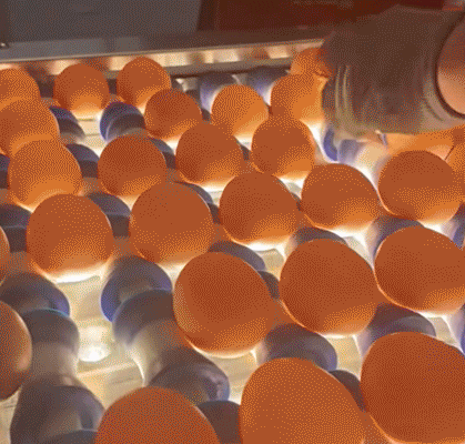 2024年抖音电商为460万商家做了这些事！(图7)