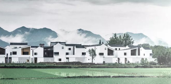直播电商的双城对决：广州“草根”崛起杭州“流量”退潮(图3)