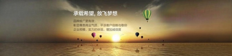“网店”域名：政策加持+品牌突围电商时代的中文域名蓝海(图3)