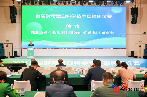 39年蜕变：安琪酵母如何从传统制造到全球生物智造领军者(图5)