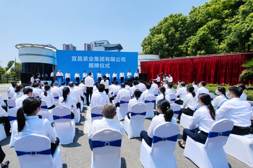 39年蜕变：安琪酵母如何从传统制造到全球生物智造领军者(图6)