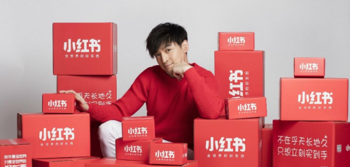 董洁没带动的小红书电商梦要靠300万条求链接评论带活？(图6)