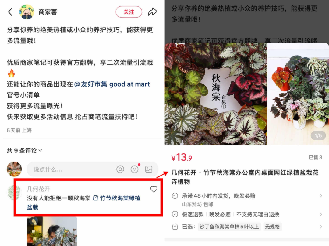 猛踩“融入社区”油门小红书电商正在构建一张更紧密的网(图3)