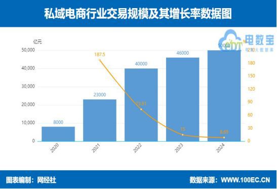 网经社：《2024年度中国网络零售市场数据报告》发布(图7)