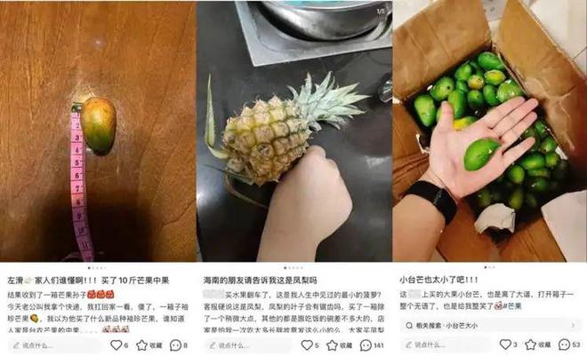 社区感和UGC：小红书市集何以“友好”的底层逻辑(图1)