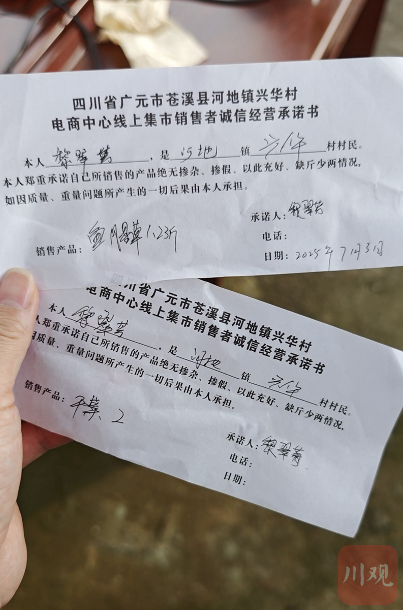 四川这个欠发达县为何有400多名网络主播？(图4)
