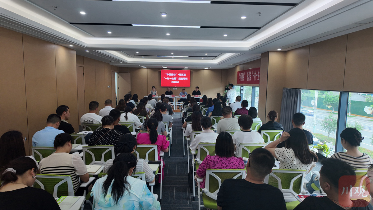 四川这个欠发达县为何有400多名网络主播？(图7)