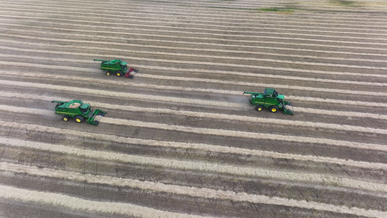 数读中国｜金秋“丰”景满神州颗粒归仓筑牢14万亿斤目标(图2)