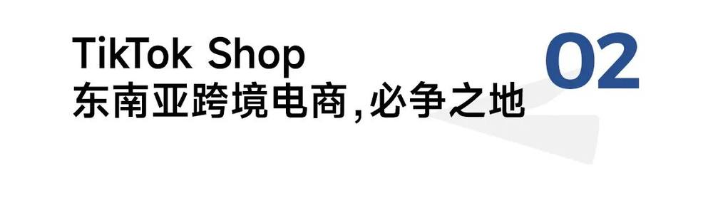 东南亚电商进入“快车道”中国品牌如何赢得下一个全球增量市场？(图5)