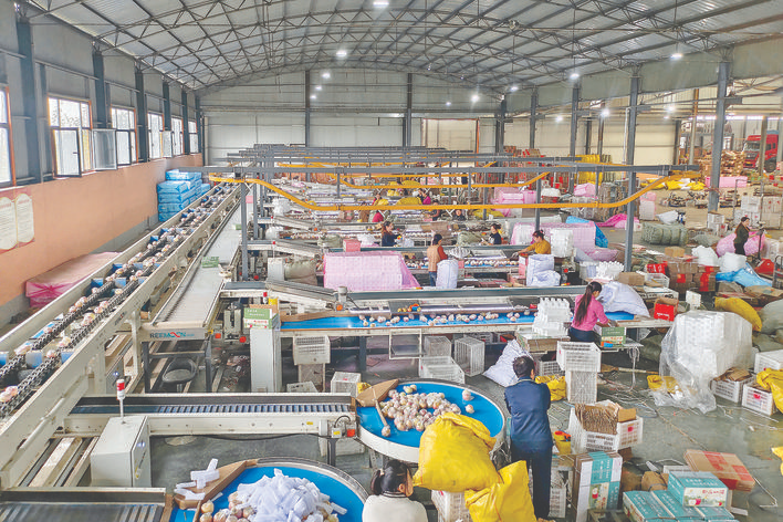 电商助力“跑”全国山西临猗苹果的电商“破圈”之路(图2)