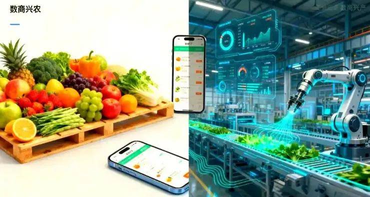 双11观察丨电商终点即起点行稳致远(图3)