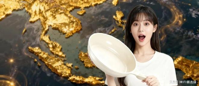 一口中国锅在东南亚日销11万美金！凭什么？(图3)