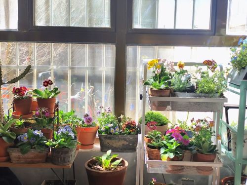 拼多多的一千亿花哪了？(图2)