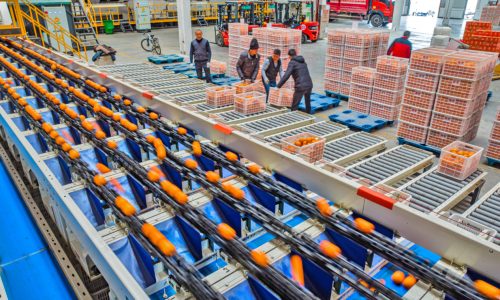 【2025重点观察】：电商转型中的三只羊(图2)