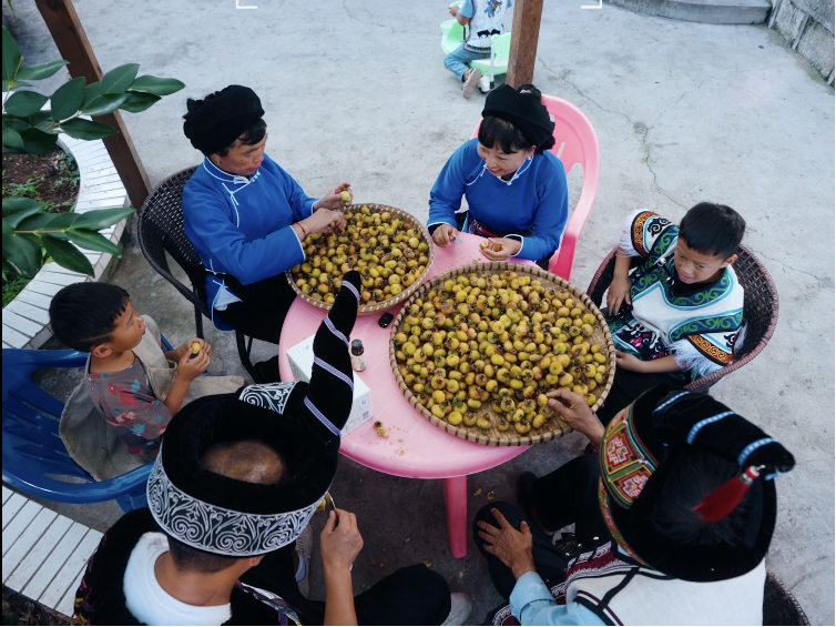 “十五五”新起点下的直播电商价值升维：从流量场到系统赋能者(图5)