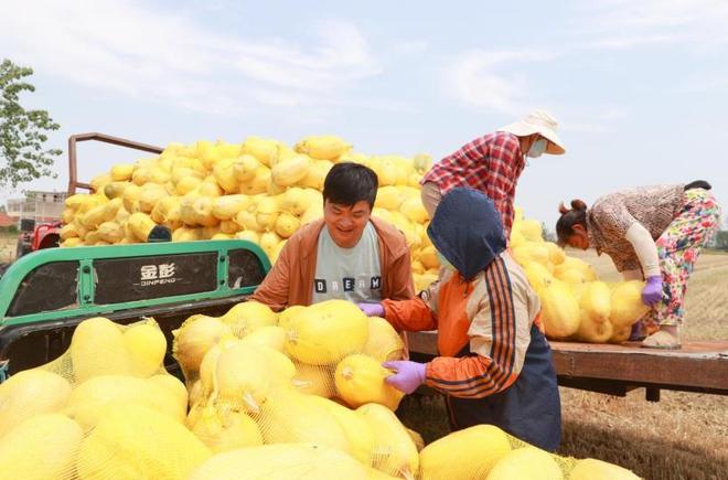 安徽泗县：一颗瓜一枚蛋一双鞋一壶茶(图1)