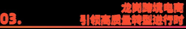 “跨境第一区”深圳龙岗发布首个跨境电商发展指数(图8)